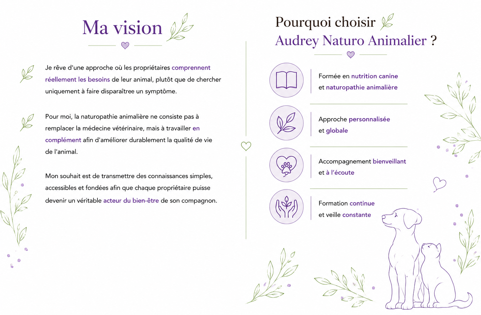 Ma vision